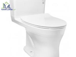 Bàn cầu 1 khối TOTO MS855DT8