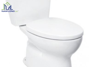 Bàn cầu 2 khối TOTO CS300DT3Y1