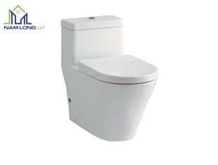 Bàn cầu 1 khối TOTO CW166RB + TC384CVK + T53P100VR