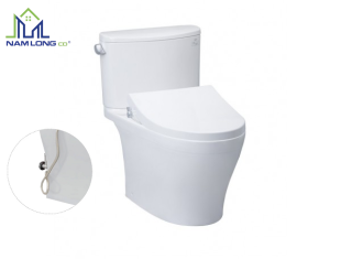 Bàn cầu 2 khối TOTO nắp rửa cơ TCW1211A kèm vòi rửa nước lạnh Ecowasher CS767RE4