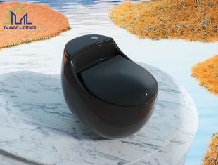 Bàn cầu 01 khối CADA CD-099B