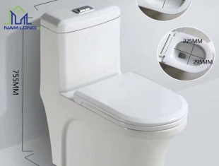 Bàn cầu 01 khối CADA CD-003